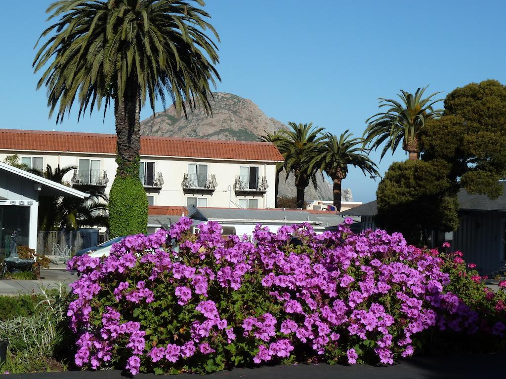 Sundown Inn Of Morro Bay Zewnętrze zdjęcie